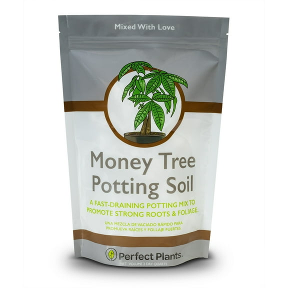 Money Tree Potting Soil 2qt. Unique Plant Mix for Indoor Trees