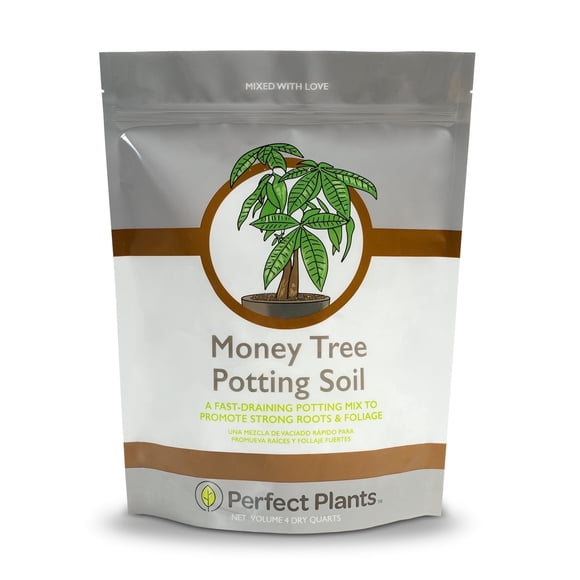 Money Tree Potting Soil 4qt. Unique Plant Mix for Indoor Trees