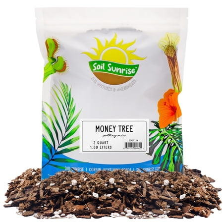 Money Tree Potting Soil Mix (2 Quarts); Custom Blend for Money Plant Container Gardening