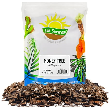 Money Tree Potting Soil Mix (4 Quarts); Custom Blend for Money Plant Container Gardening