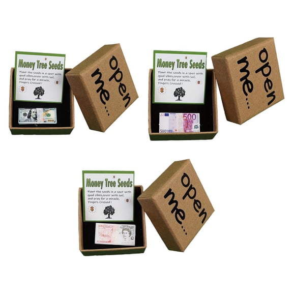 Money Tree Seeds Prank Gift Box Novelty Joke Present With Miniature Banknote For Gag Gifts