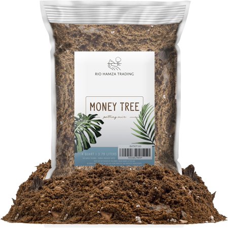 Money Tree Soil (4 Quarts), Potting Mix for Planting/Repotting Pachira Aquatica, All-Natural Custom Soil Blend