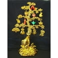 thumbnail image 1 of Money Tree, 1 of 1