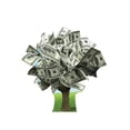 thumbnail image 1 of Money Tree, 1 of 2