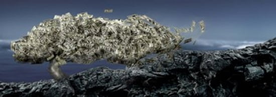 Money tree Canvas Art - Panoramic Images (36 x 13)