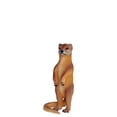 thumbnail image 1 of Mongoose Life Size Statue, 1 of 8