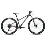 Mongoose Switchback Expert Mountain Bike, 29 Wheels, Extra-Large Frame, Gray