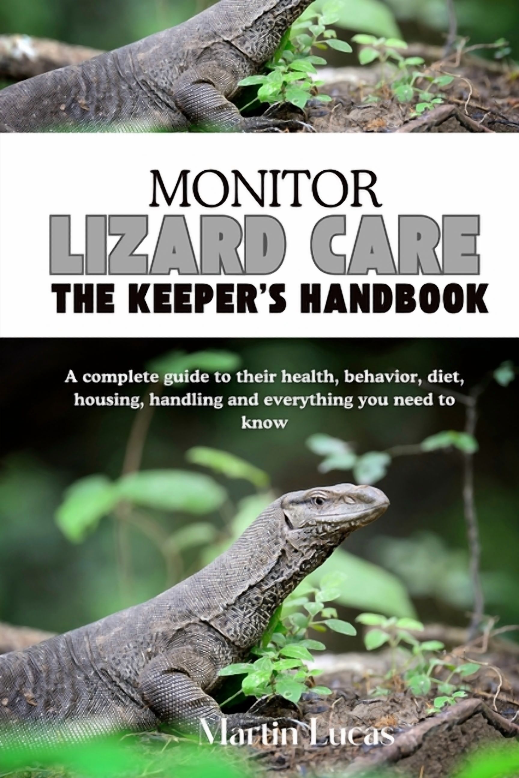 Monitor Lizard Care: A complete guide to their health, behavior, diet ...