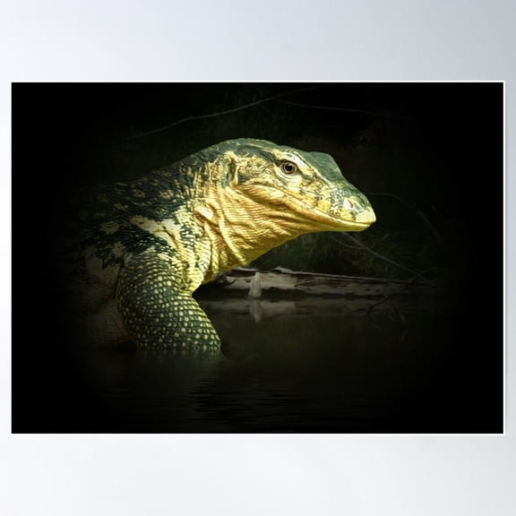 Monitor Lizard Poster Wall Art, Modern Wall Decor For Living Room Bedroom, 8x12 UNFRAMED