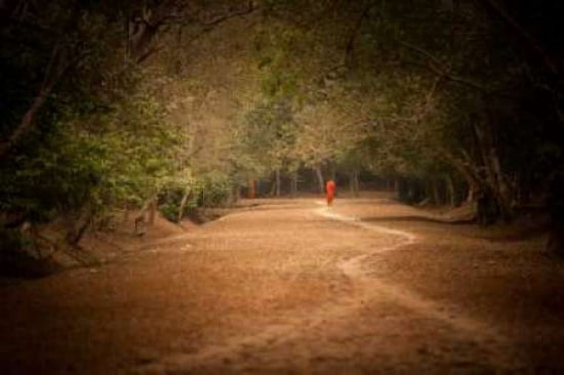 Monk on Path Canvas Art - Erin Berzel (24 x 36)