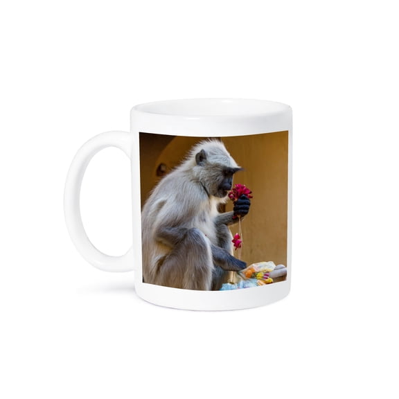 3drose, Monkey. Amber Fort. Jaipur., 11oz Mug