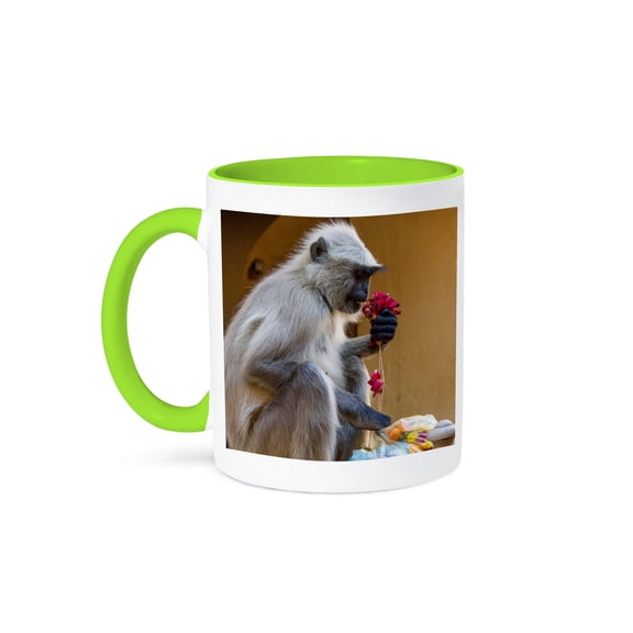 3drose, Monkey. Amber Fort. Jaipur., 11oz Two-tone Green Mug