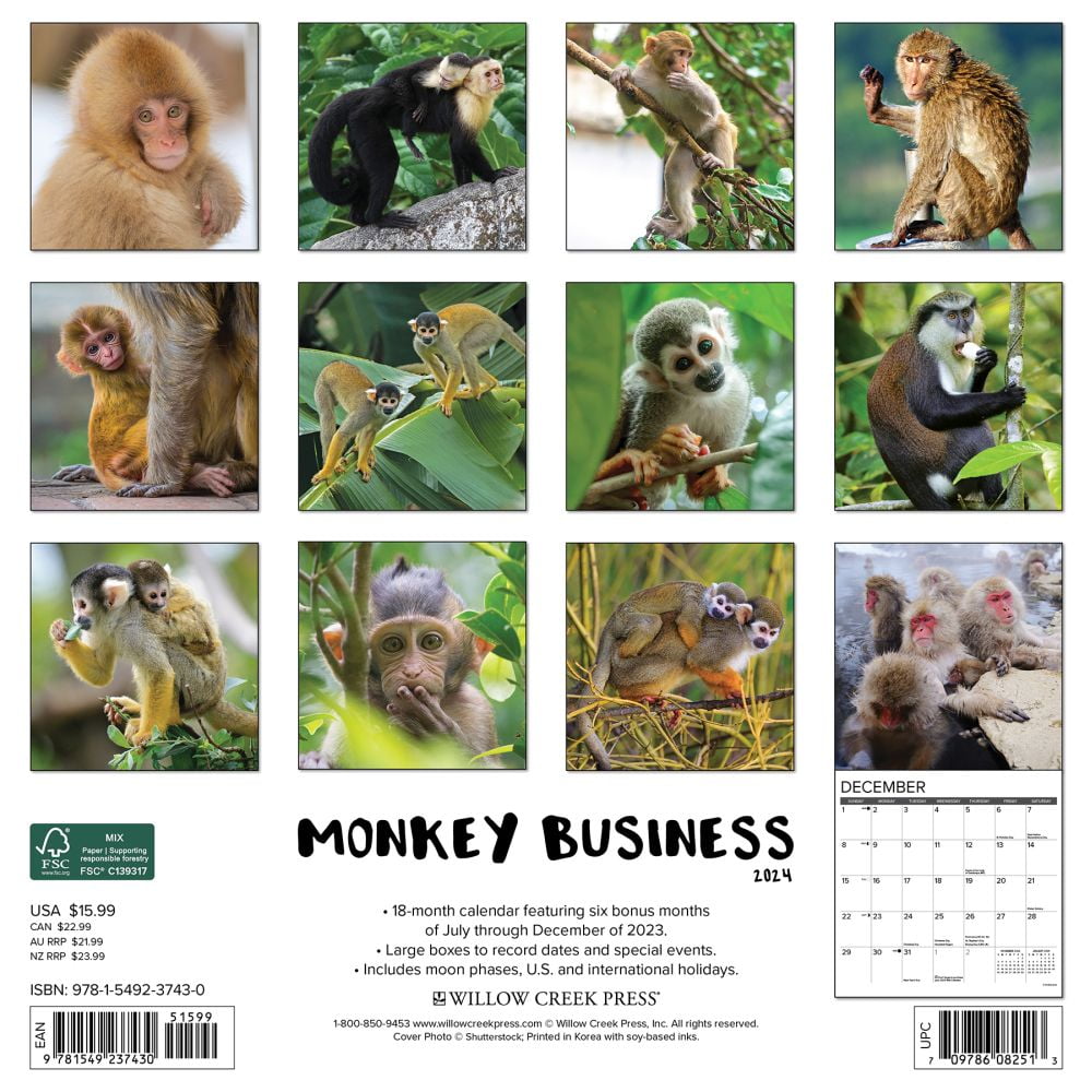 Monkey Business 2024 12 X 12 Wall Calendar (Other)