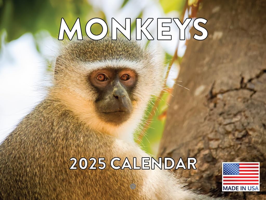 Monkey Calendar 2025 Monthly Wall Calender 12 Month