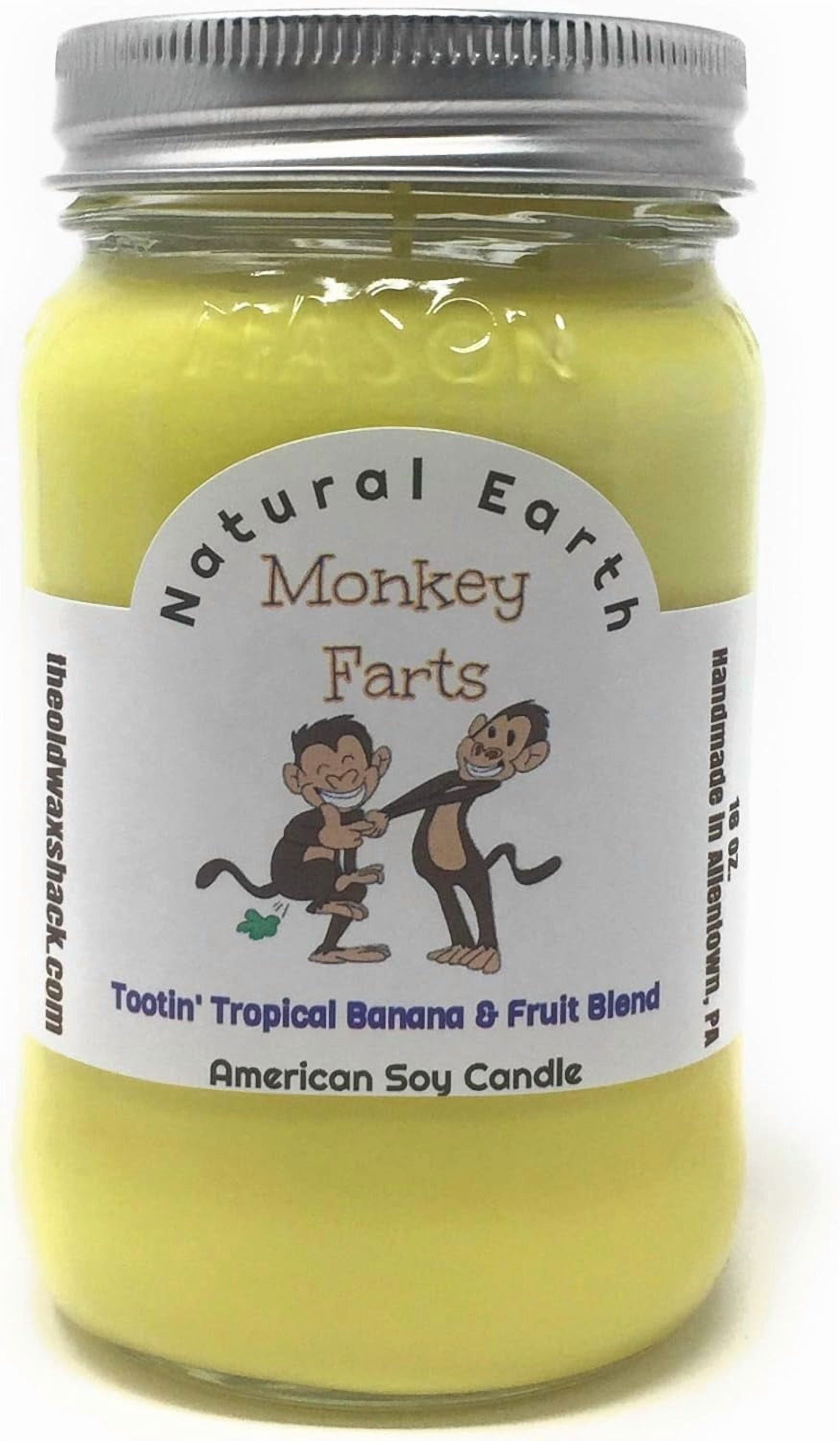 Monkey Farts Soy Candle - 16 Oz. Mason Jar