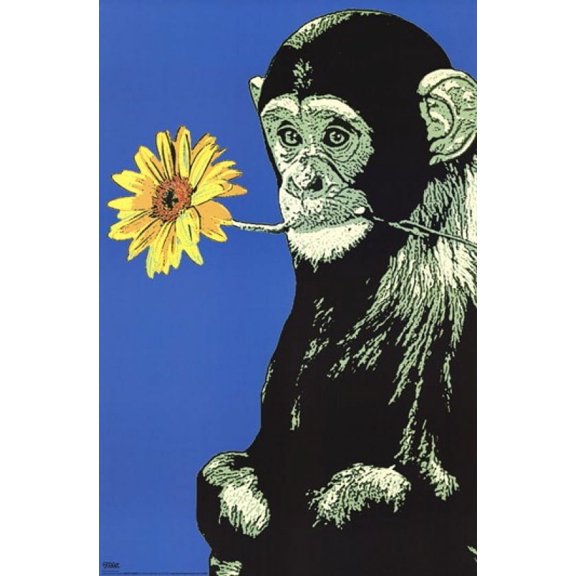 Monkey Flower Poster by Steez (24 x 36)