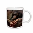 thumbnail image 1 of 3drose, Monkey in Zoo - Animal Photoadaption, 11oz Mug, 1 of 6