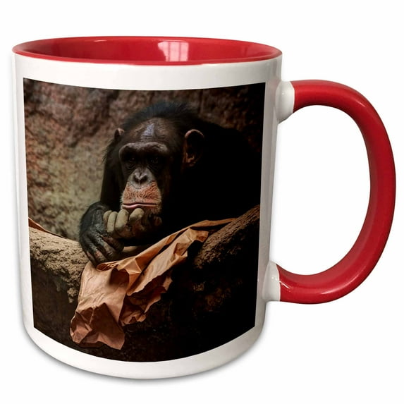 3drose, Monkey in Zoo - Animal Photoadaption, 15oz Two-tone Red Mug
