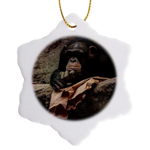 3drose, Monkey in Zoo - Animal Photoadaption, 3 inch Snowflake Porcelain Ornament