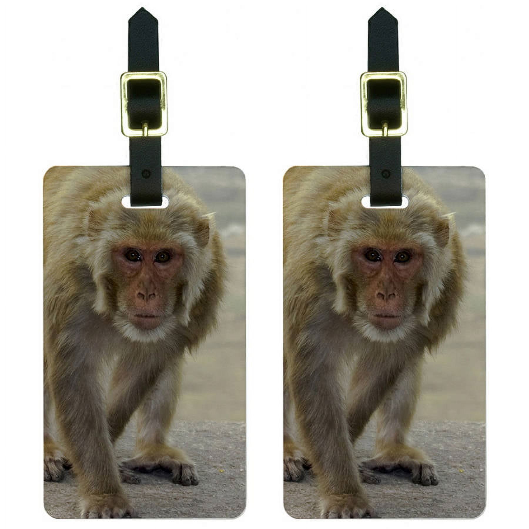 Monkey Luggage Tags Suitcase CarryOn ID, Set of 2