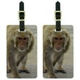 Monkey Luggage Tags Suitcase CarryOn ID, Set of 2