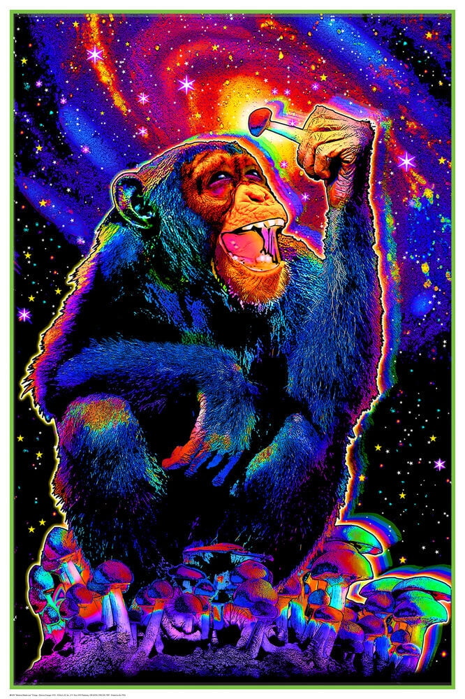 アート・デザイン・音楽 Ultraviolet 69 Blacklight Posters Amazon | Ultraviolet: 69 Classic Blacklight Posters from the