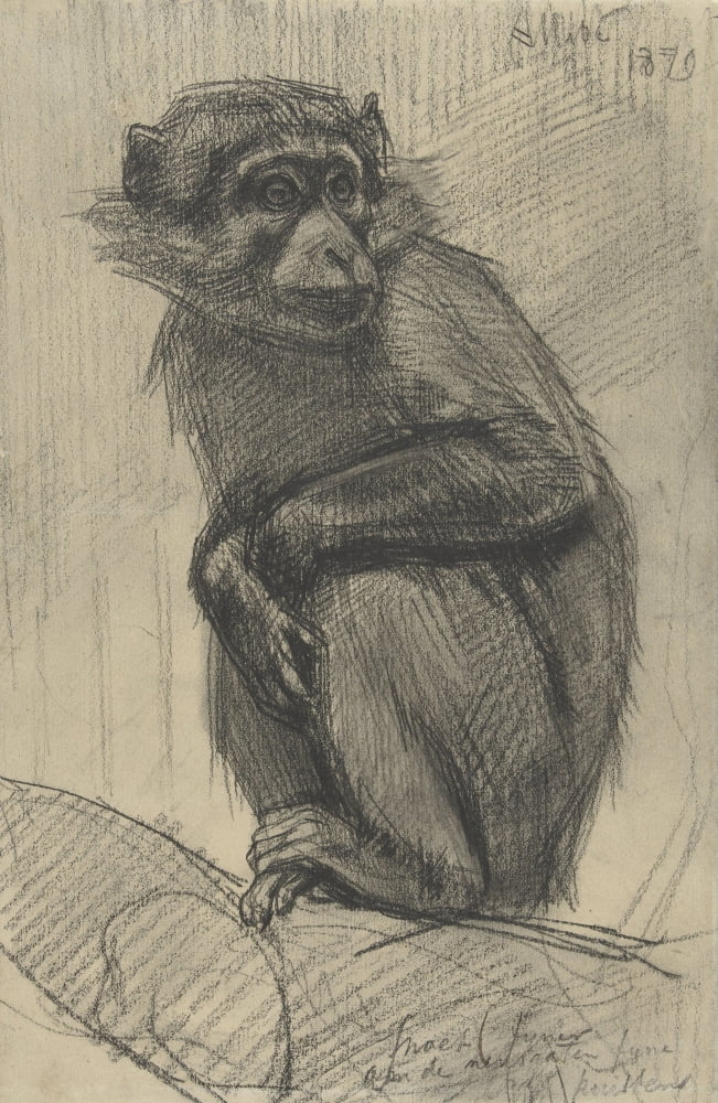 Monkey On A Branch Canvas Art - (24 x 36)