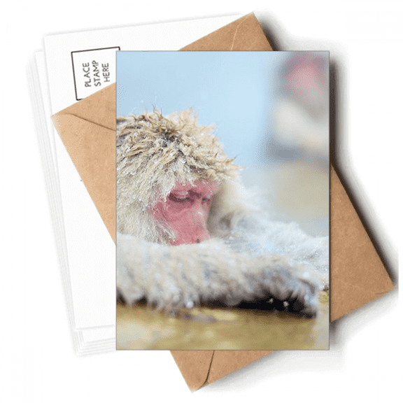 Monkey Organism  Animal Photography Postcards Envelopes Blank Note Cards Mailing