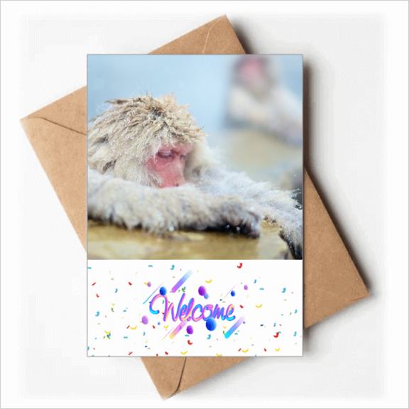 Monkey Organism Animal Photography Welcome Back Greeting Cards Envelopes Blank