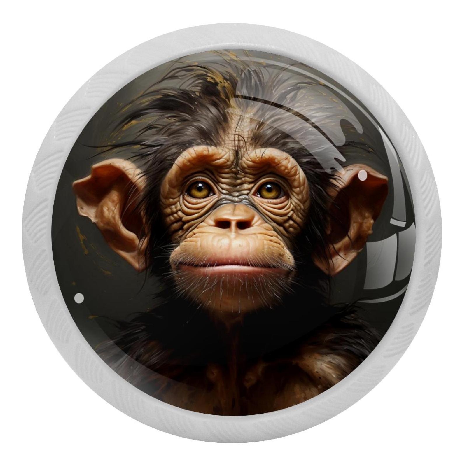 Monkey Pattern 4PCS Knobs Pulls Fluorescent Drawer Handle