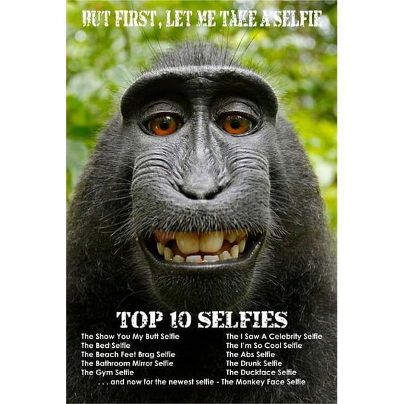 Monkey Selfie Poster 24in x 36in