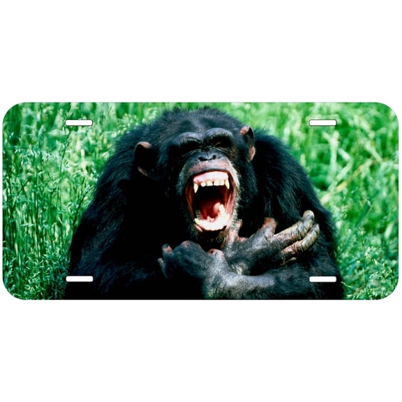 Monkey TAG10 Novelty Car Auto License Plate