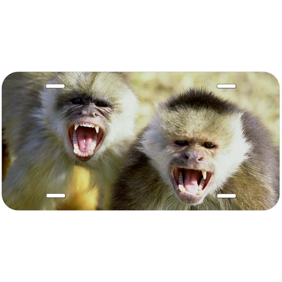 Monkey TAG25 Novelty Car Auto License Plate