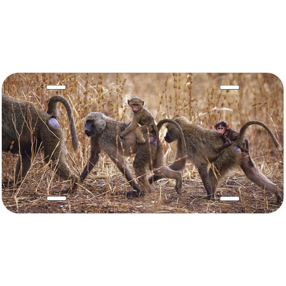 Monkey TAG27 Novelty Car Auto License Plate