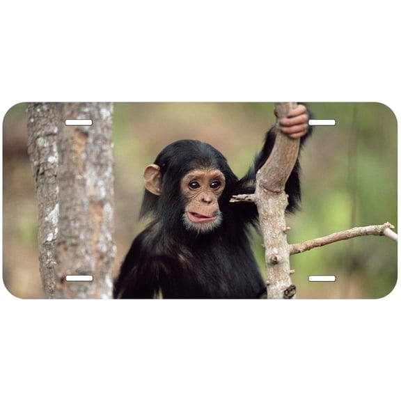 Monkey TAG28 Novelty Car Auto License Plate