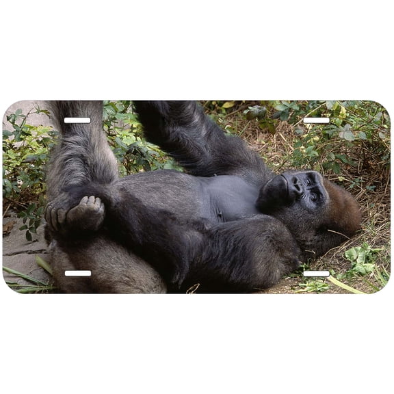 Monkey TAG32 Novelty Car Auto License Plate