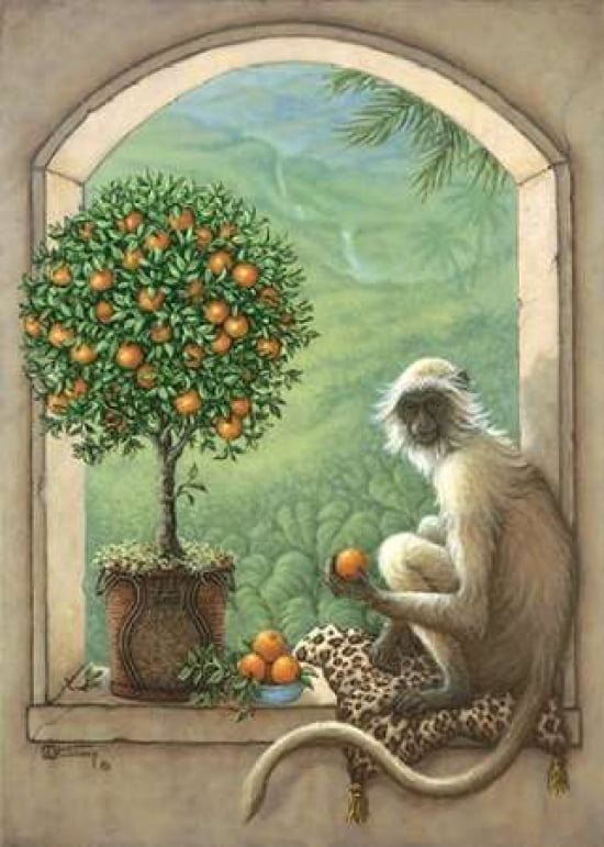 Monkey and Orange Tree Canvas Art - Janet Kruskamp (18 x 24)