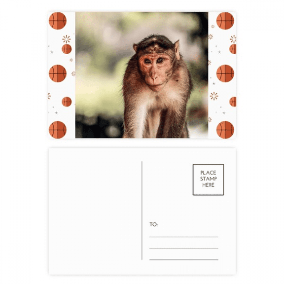 Monkey m  Animal Basketball Postcard Set Thanks Card Mailing Side 20pcs