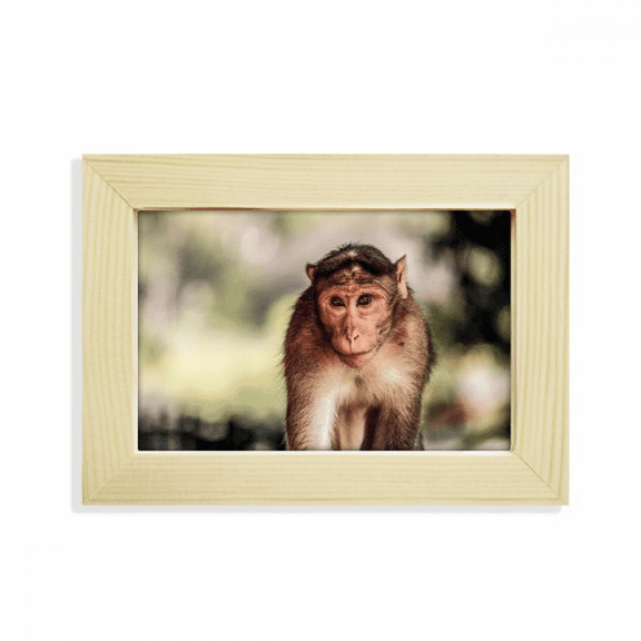 Monkey m Animal Desktop Decorate Photo Frame Picture Art Painting 5x7 inch