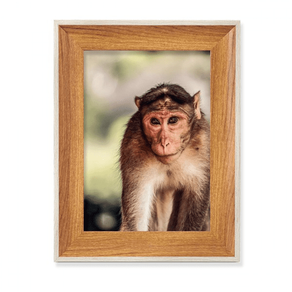 Monkey m Animal Desktop Wooden Photo Frame Display Picture Art Painting Multiple Sets
