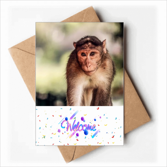 Monkey m Animal Welcome Back Greeting Cards Envelopes Blank