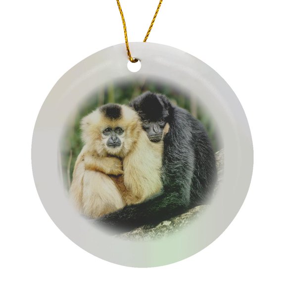 3drose, Monkeys Hugging. Popular Print, Image., Circle Porcelain Ornament