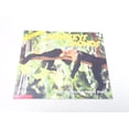 thumbnail image 1 of Pre-Owned Monkeys =: Monos (Science Emergent Readers) Paperback, 1 of 1