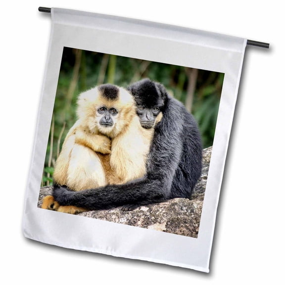 3dRose, Monkeys hugging. Popular print, image., 18 x 27 inch Garden Flag