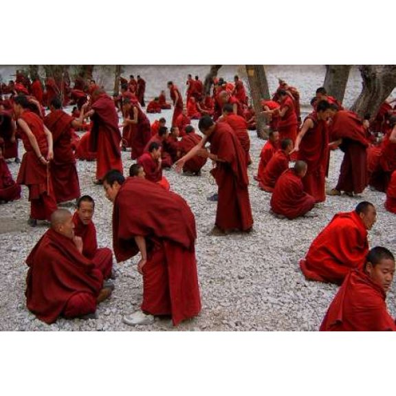 Monks Debating Canvas Art - Yvette Depaepe (20 x 28)