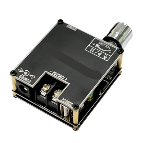 Mono Digital Amplifier Module Supports True Wireless DIY Simple Mono ...