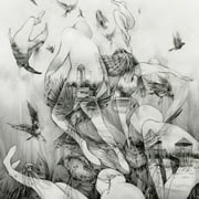 Mono - Last Dawn - Music & Performance - Vinyl