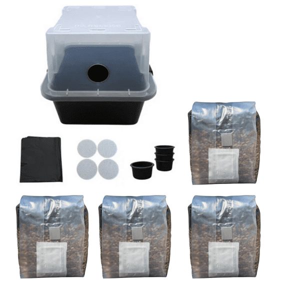 MonoTub Mushroom Grow Kit | 4 Pack All-in-One Mushroom Grow Bags and Monotub Fruiting Container