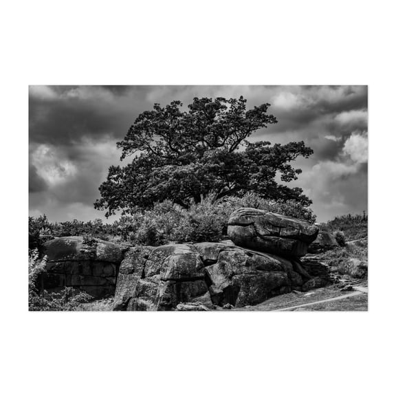 Monochrome Image of Devil's Den and Witness Tree - Gettysburg Pennsylvania Photography Black and White Nature Landscape Forest Scenic Unframed Wall Art Print 40 x 60 inches