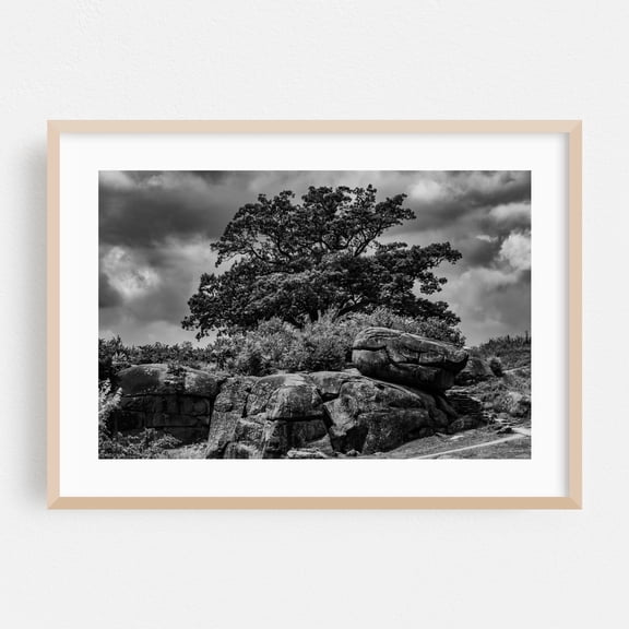 Monochrome Image of Devil's Den and Witness Tree - Gettysburg Pennsylvania Photography Oak Framed Wall Art Print 20 x 30 inches